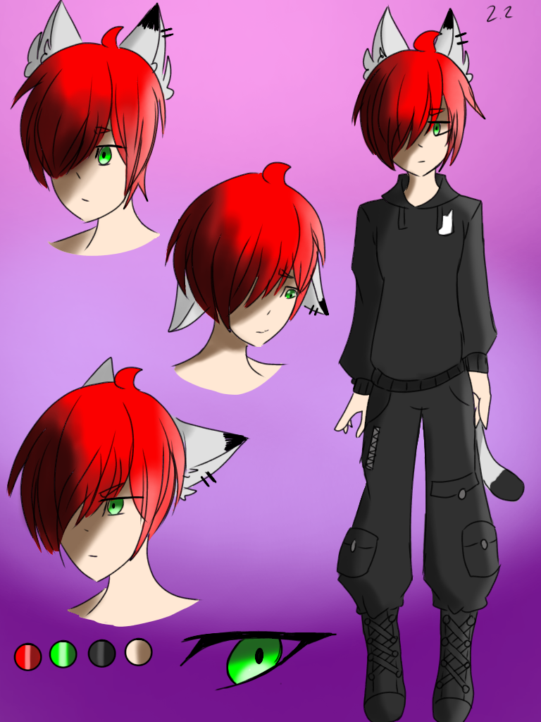 OC Character Sheet by Olliethecatboi on DeviantArt