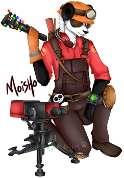 Paypal Commission - Engi Moisho