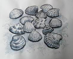 Inktober2022 Day4 scallop