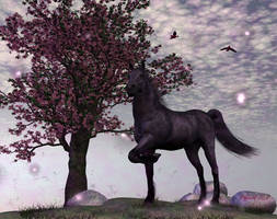 Black Cherry Horse