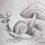 Crazy Snail