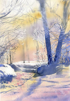 Winter video tutorial