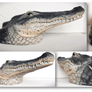 American alligator sculpture