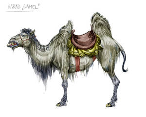 TLD: Harad Camel