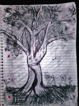 Treedom