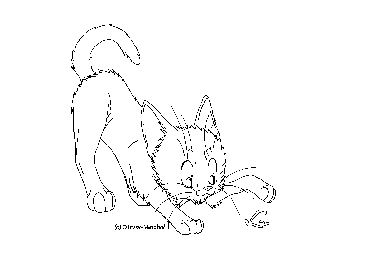 Kitten Lineart