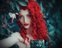Ivy