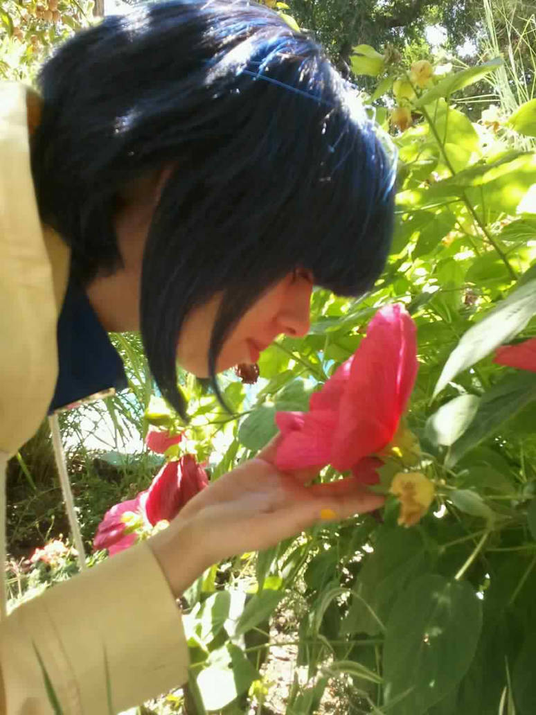 Sampling Flower Sampling Flowers by gaahina-ai on DeviantArt