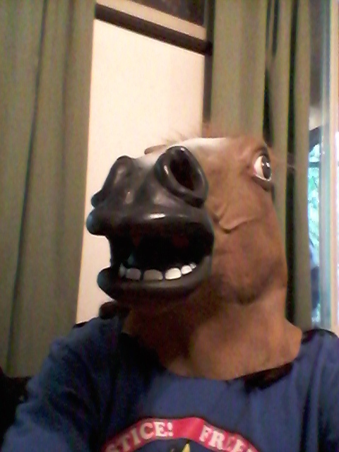 Horse Mask