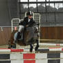 Show Jumping