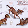 Dachshunds