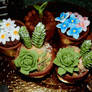 Plant cupcakes