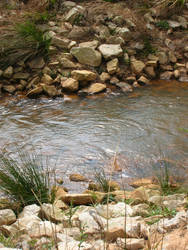 Creek 1