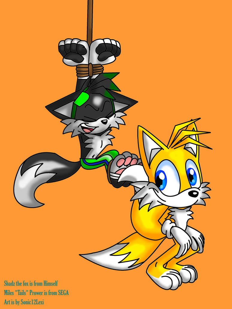 Tails tickles Shadz Art Trade by Sonic12Lexi on DeviantArt