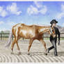 AQHR 2021 Rodeo -Halter- Gold Rush