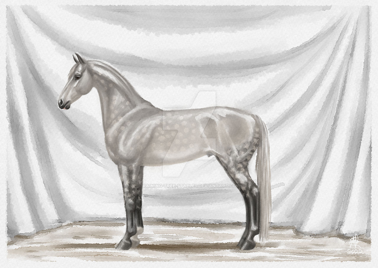 ZS0854 Basking in Moon Glow by RainingTreeStables on DeviantArt