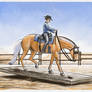 AQHR NPC Show- Arena Trail- Gold Rush