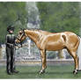 AQHR NPC Show- Halter-Gold Rush