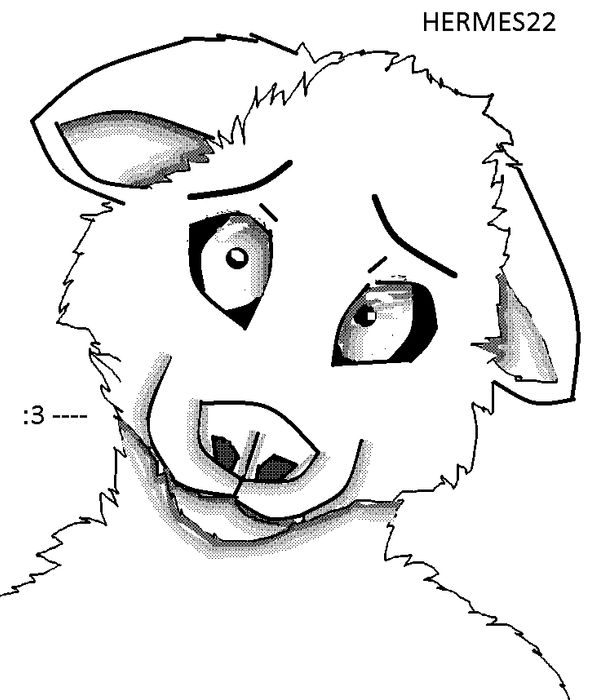 cute furry by Herme22 on DeviantArt