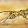 Running cheetah