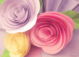 paper flowers