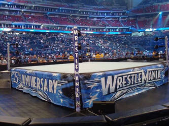 Wrestlemania 25 Ringside