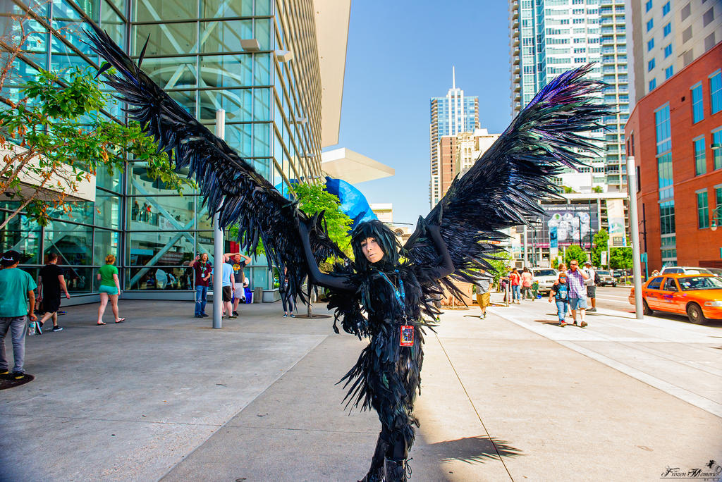 Howl (Bird Form) by Crazy-J19 on DeviantArt