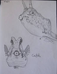 Left Handed Drawing: The Cowfish!