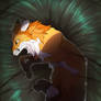 Sad little fox