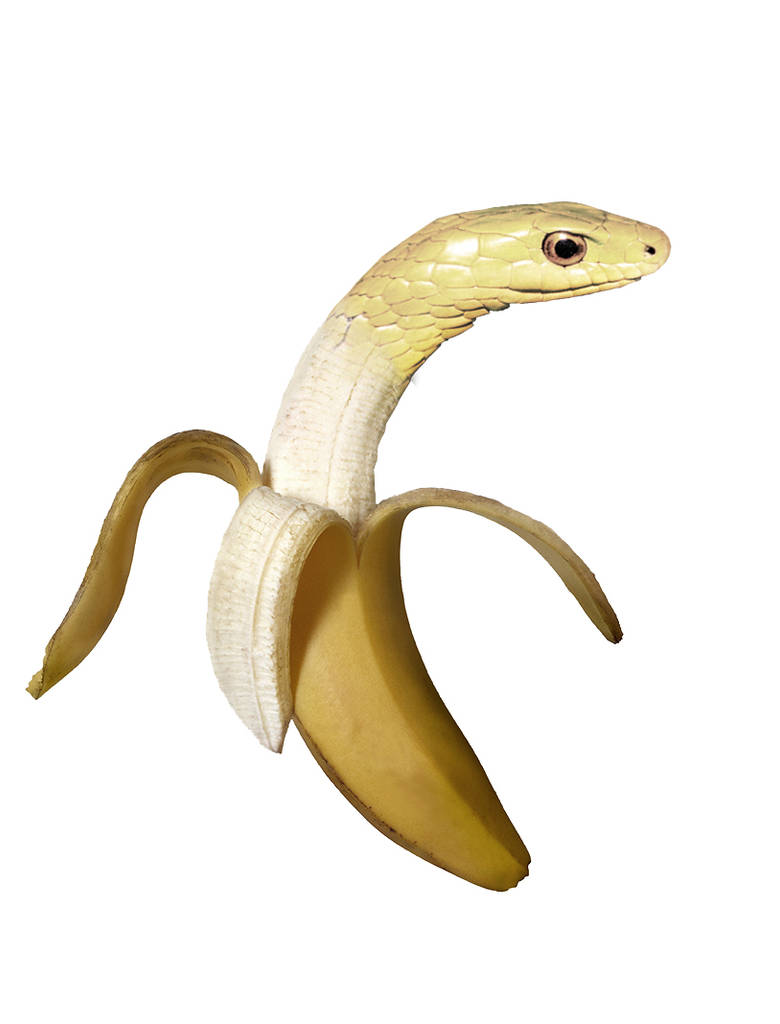 Banana-snake by alexkrat92 on DeviantArt