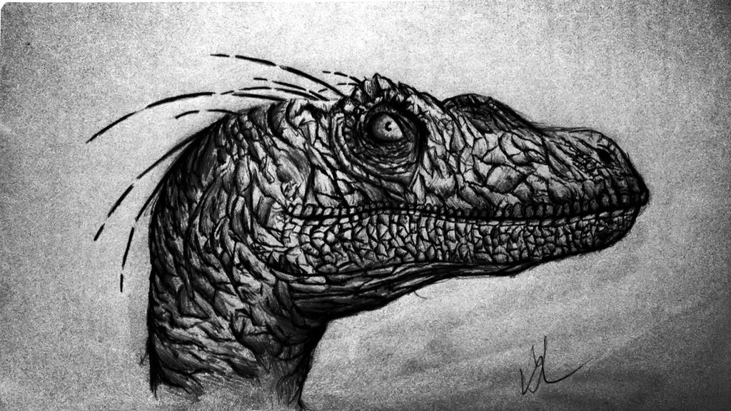 Drawings Rapter Raptor by alexkrat92 on DeviantArt