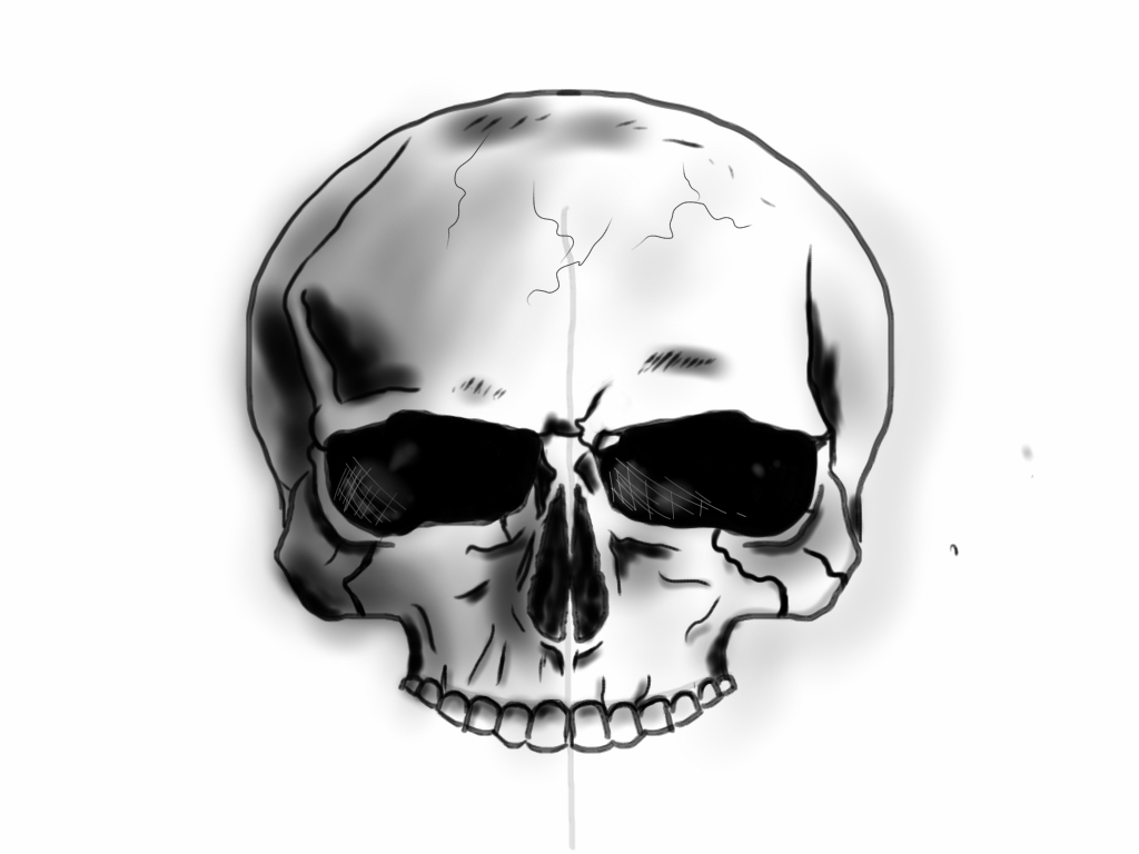 Skull sketch 1