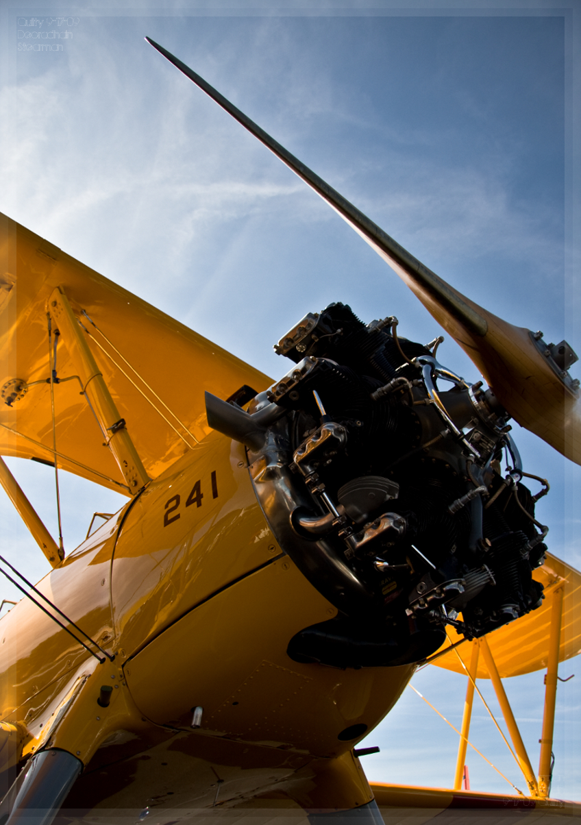 Stearman 75