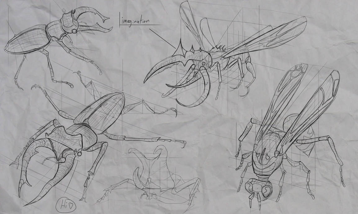 Insect Perspective Studies by MyBackBeBig on DeviantArt