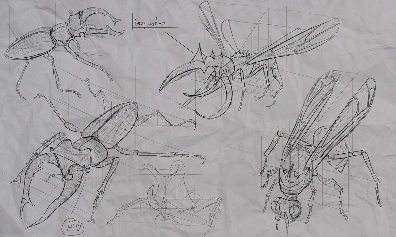 Humans From Insect Perspective Insect Perspective Studies by MyBackBeBig on DeviantArt