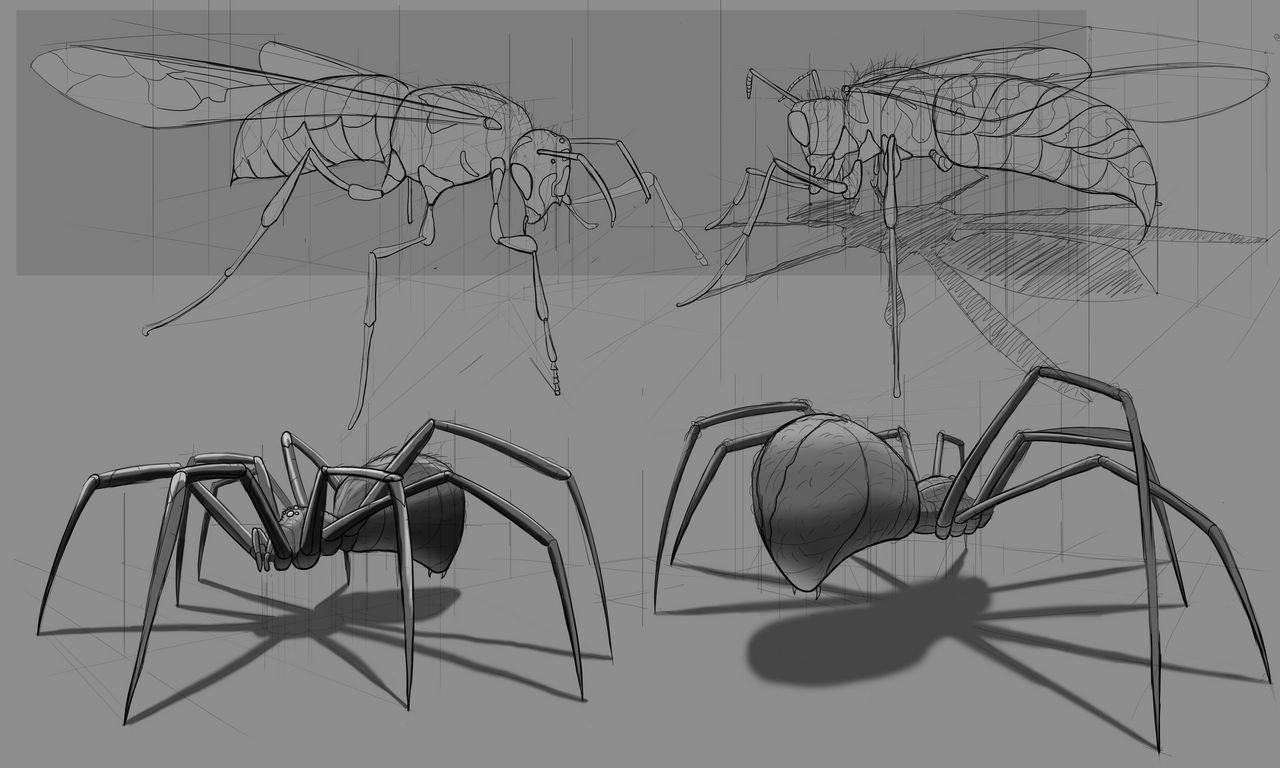 Perspective Insect Studies - Draw Through by MyBackBeBig on DeviantArt