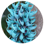Jade Vine by AnniverseStash