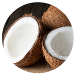 Coconut by AnniverseStash