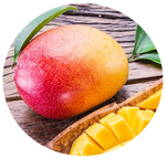 Mangifera Indica Mango by AnniverseStash