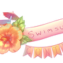 Swimsuit Contest Banner
