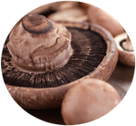 Portobello mushroom by AnniverseStash