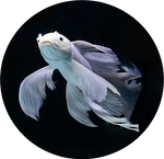 Butterfly Koi by AnniverseStash