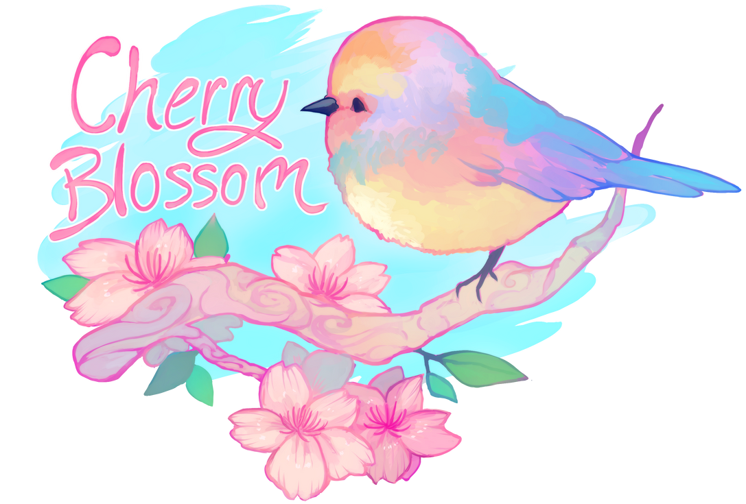 Cherry Blossom Contest Banner