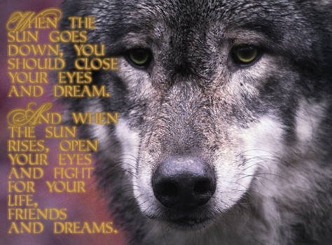 Wolf 'When the Sun'