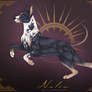 Adoptables: Piebald and Albino