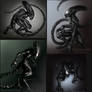 Xenomorph Sketch Collection