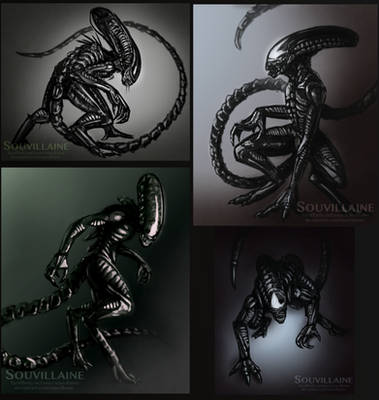 Xenomorph Sketch Collection