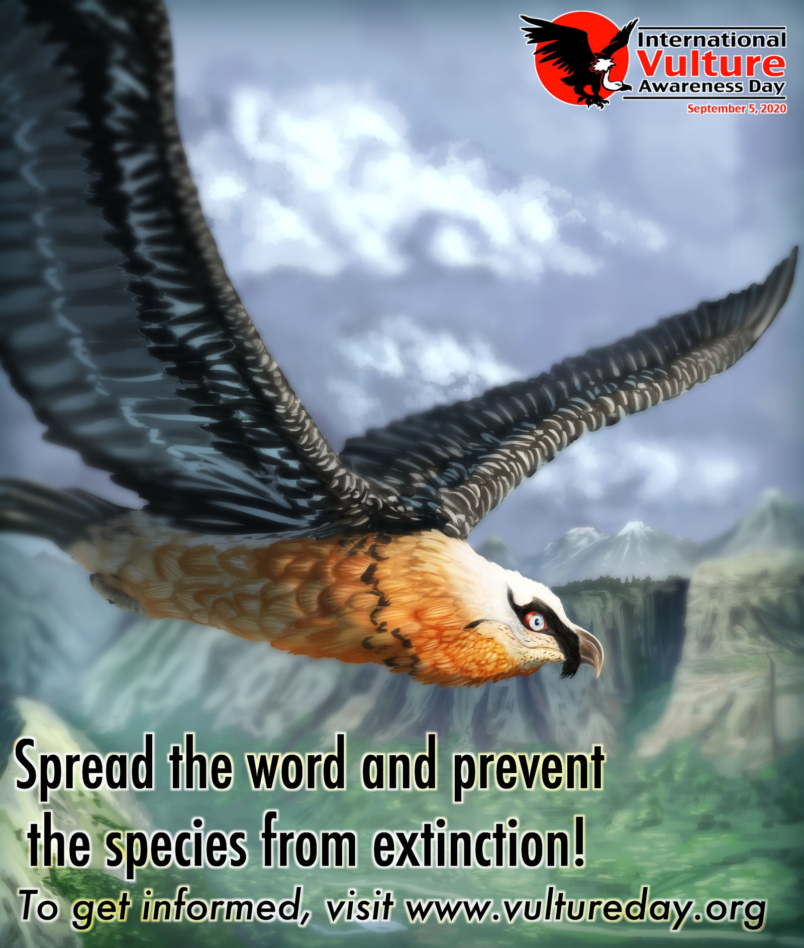 Vulture Awareness Day - Poster by Souvillaine on DeviantArt
