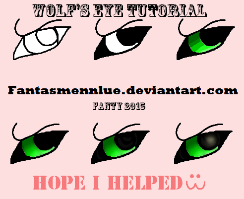 Wolf's eye tutorial 2