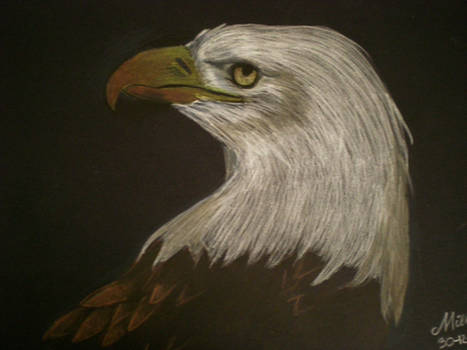 Eagle